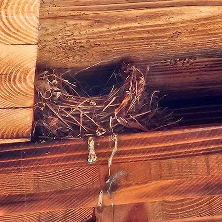 Terre Et Appartement *