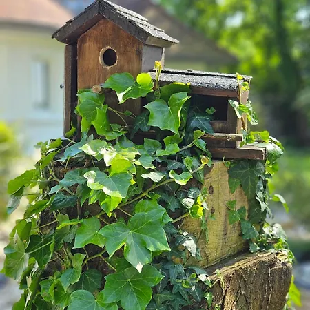 Terre Et Apartment Longfosse